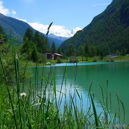 Premium @ Monte Rosa