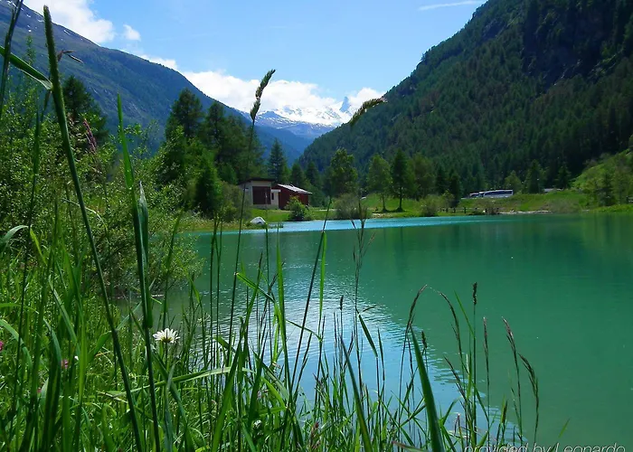 Premium @ Monte Rosa