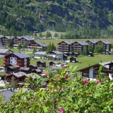 Premium @ Monte Rosa